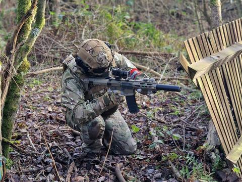 Pushing through the trees