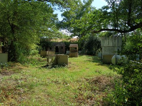 A clearing with cover