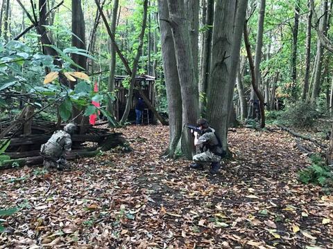 The Woods