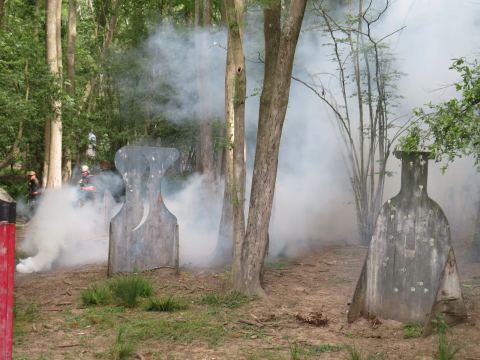 Targets in the woodland