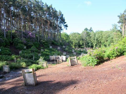 Barricades on the hillside
