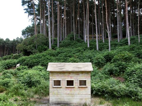 A wooden hut in the trees