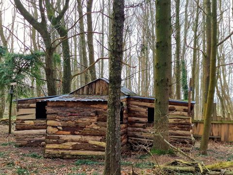 A log built cabin in the woods
