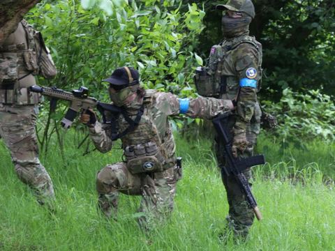 Squad advancing through the undergrowth