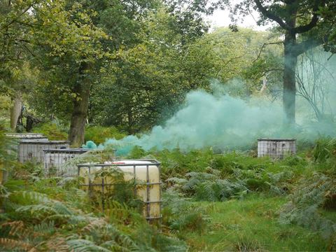 Smoke drifting across the woodland game zone