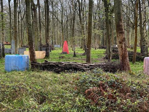 Cover spread through the woodland