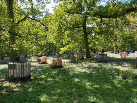Barrels and cover among the trees