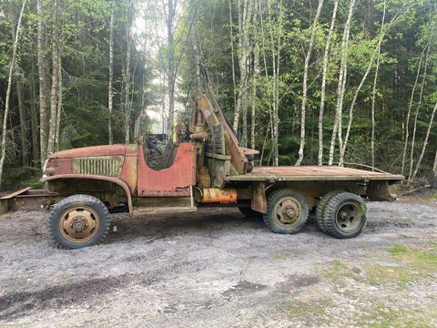 An old truck in the woods