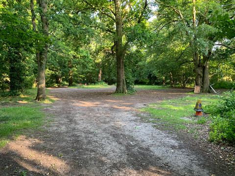 A track through the site